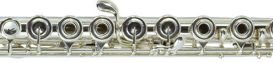 Haynes Flute買取