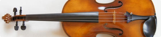 カールヘフナービオラ買取