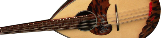 落合 マンドリン買取