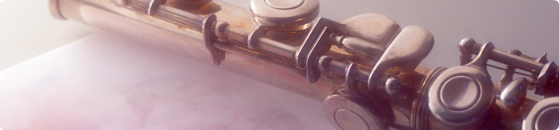 フルートの材質