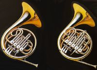 シングルホルン